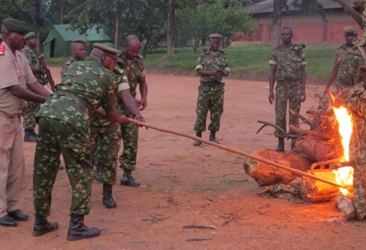 Feu de camp